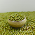 Calidad superior Green Mung Bean para el uso del brote